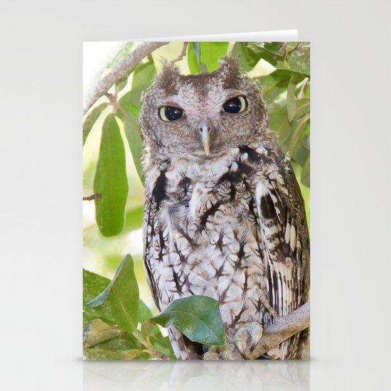 Screech Owl Stationery Cards