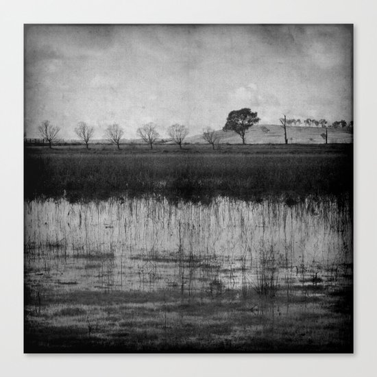 Winter Canvas Print