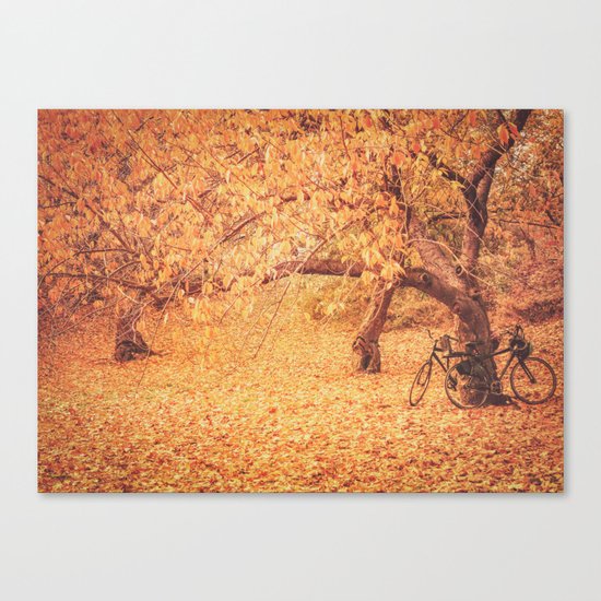 Autumn - New York City Canvas Print