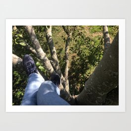  Climbing tree Art Print