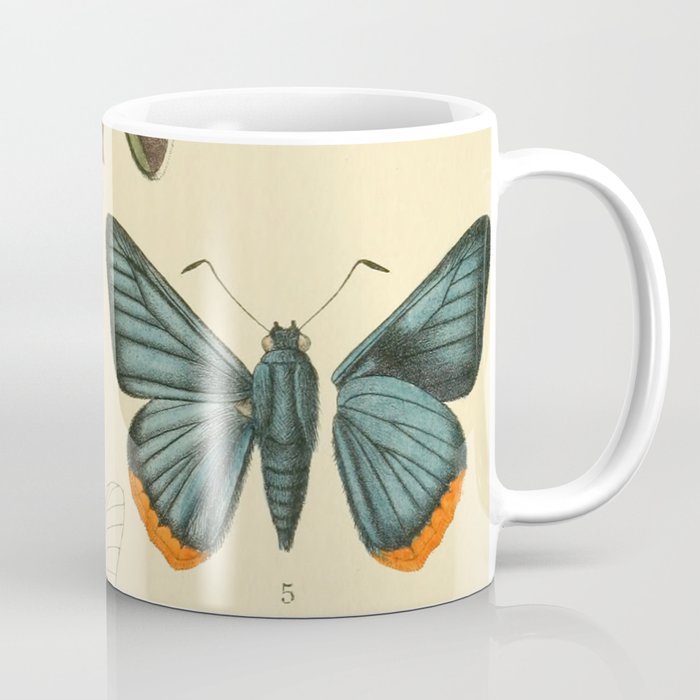 Vintage Moth Illustrations Coffee Mug
