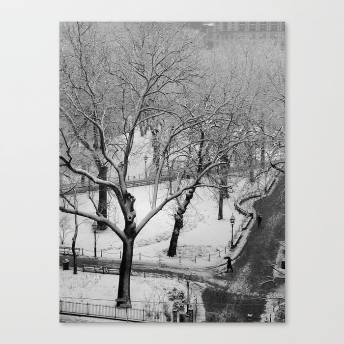 Winter Frost Canvas Print