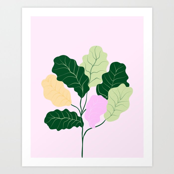 fiddle leaf fig Art Print