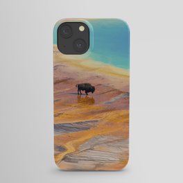 Bison and Grand Prismatic Hot Spring at Yellowstone National Park iPhone Case