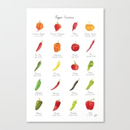 Watercolor Pepper Varieties Canvas Print