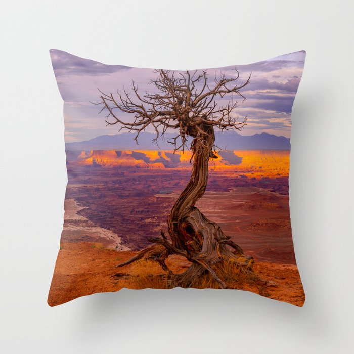 Canyonlands National Park Tree Panoramic Print Throw Pillow