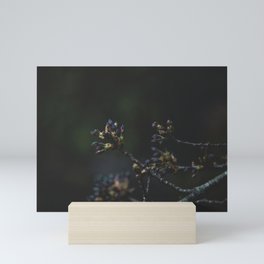 Sakura de Noir Mini Art Print