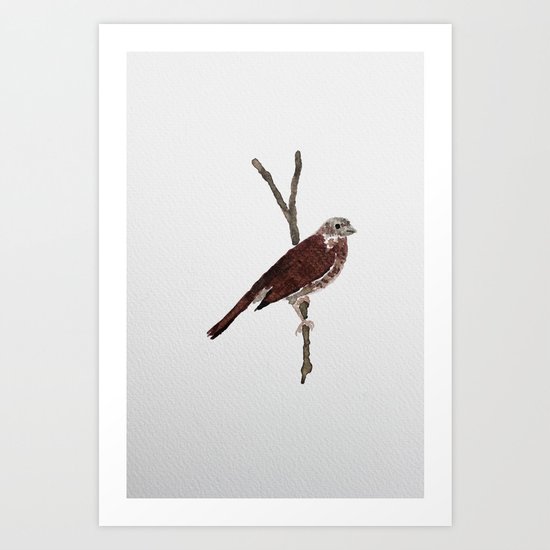 Messenger 001 Art Print