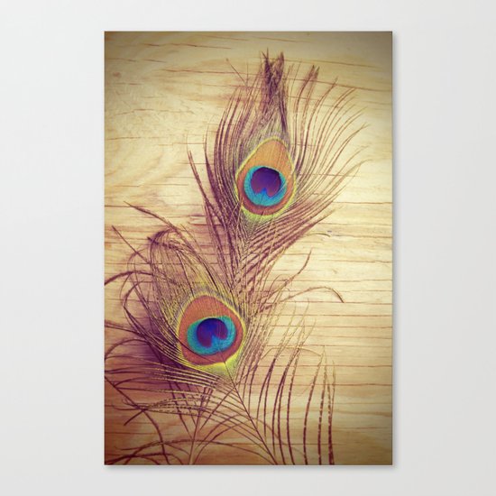 Peacock Canvas Print
