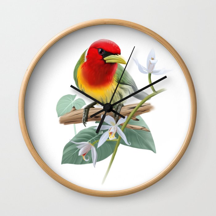 Tropical bird red-headed barbet Wall Clock