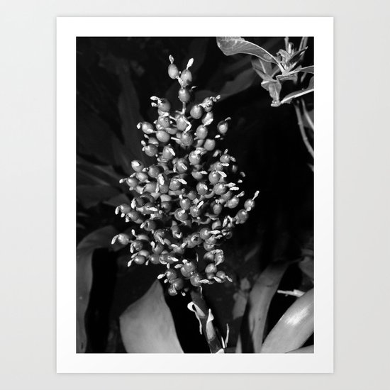 Flowers 2 Art Print
