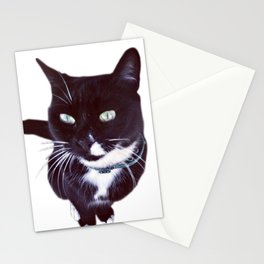 cat Stationery Cards
