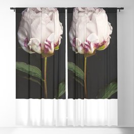Peony - simply perfect Blackout Curtain