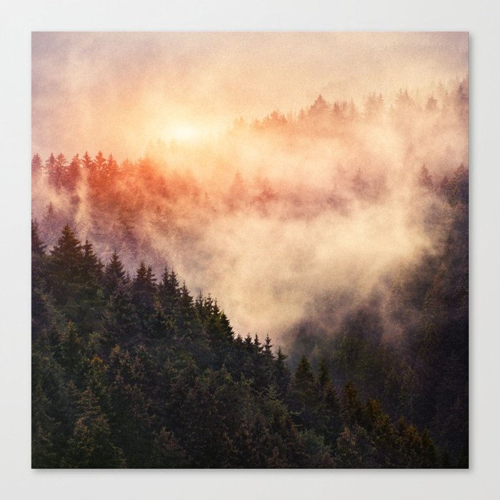 In My Other World //  Sunrise In A Romantic Misty Foggy Fairytale Forest With Trees Covered In Fog Canvas Print