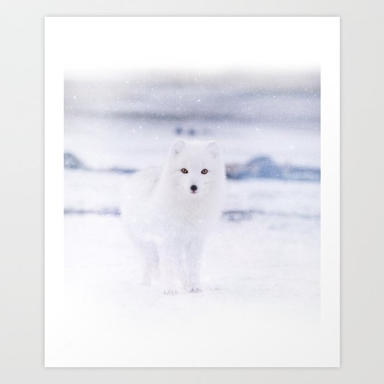 Artic Fox Eyes Art Print By Therocketman Society6