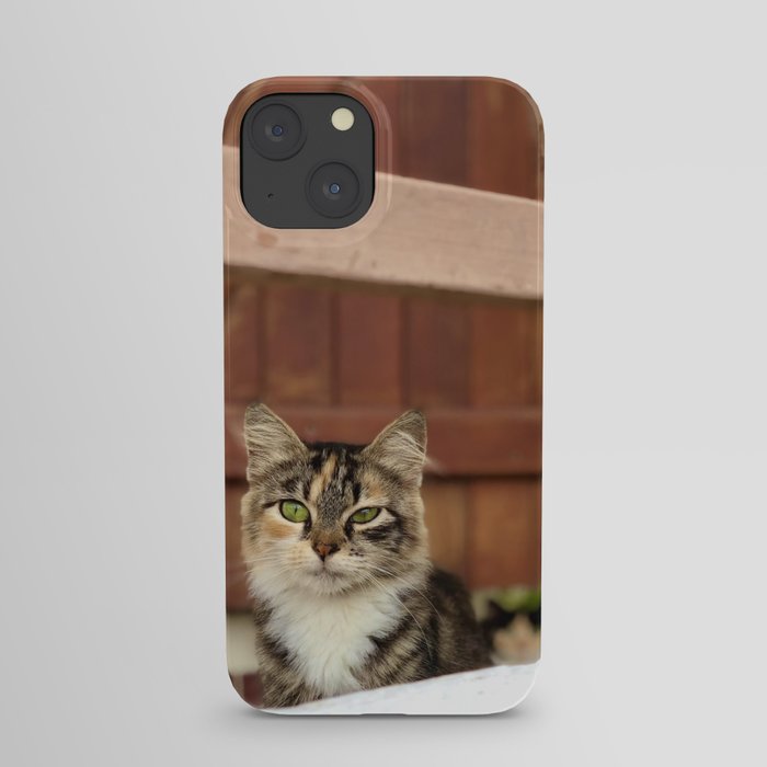 Quirky, rough and tumble Martinique Cat, Street Cat iPhone Case