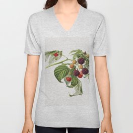 Purple Raspberry (Rubus Xneglectus) (1918) by Royal Charles Steadman V Neck T Shirt