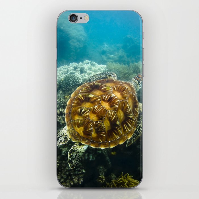 Turtle swimming over reef iPhone Skin