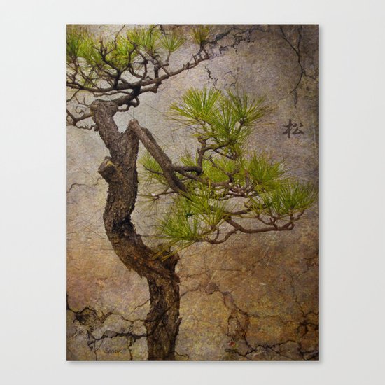 Matsu Canvas Print