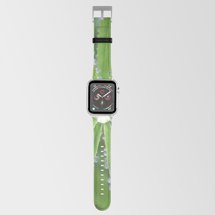 Dewdrop Apple Watch Band