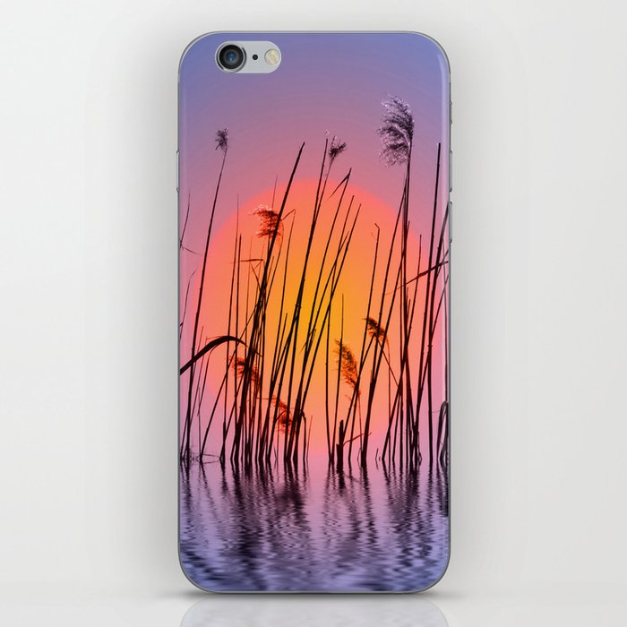 Sunset 6 iPhone Skin