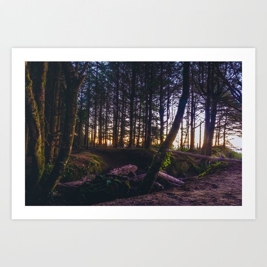 Wooded Tofino Art Print