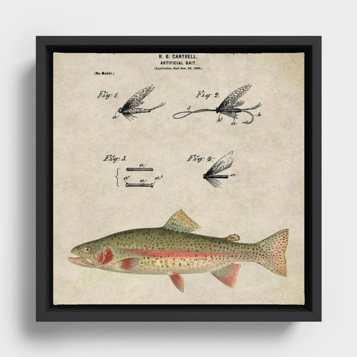 Vintage Rainbow Trout Fly Fishing Lure Patent Game Fish Identification  Chart Framed Canvas