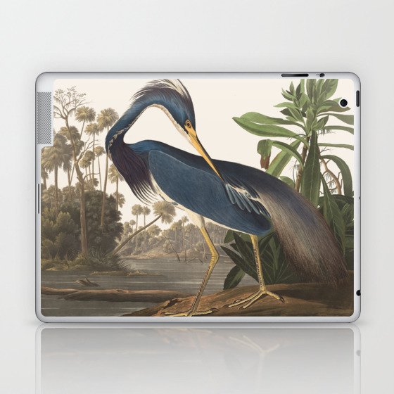 Vintage Bird Illustration Laptop & iPad Skin