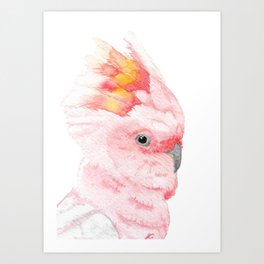 Watercolor pink parrot - Major-Michel's cockatoo Art Print