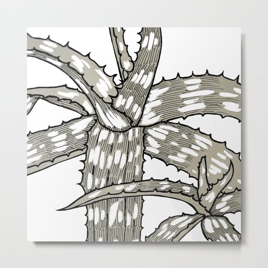 Aloe Metal Print