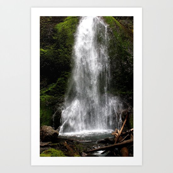 Nature's Shower Art Print