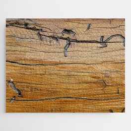 Natural wood background, wood slice and organic texture Jigsaw Puzzle