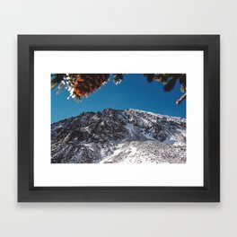 Mountains, Snow, and Pine Cones near Breckenridge Framed Art Print