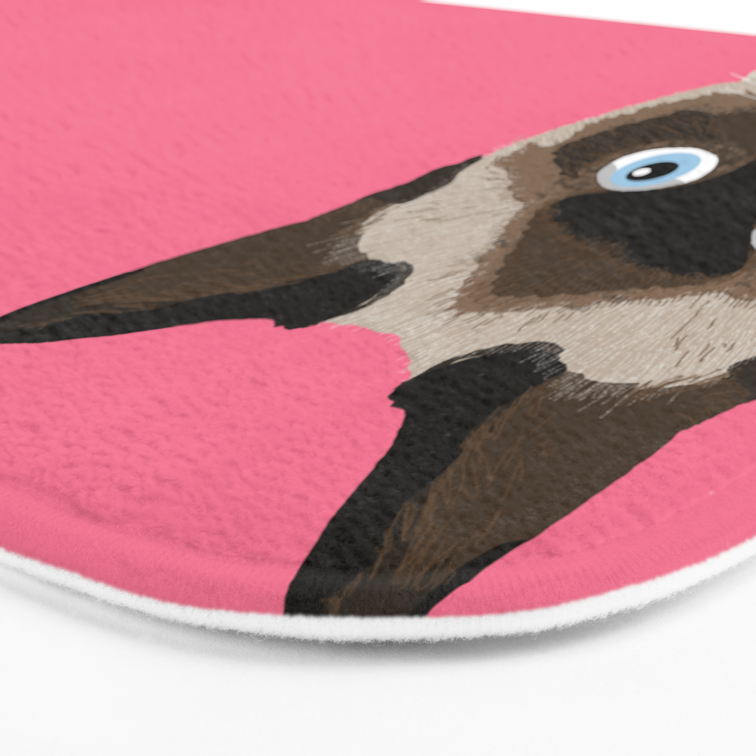 Peeking Siamese Cat Funny Cat Meme For Cat Lovers Cat Ladies