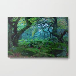 Forest #woods Metal Print | Color, Digitalmanipulation, Advenute, Landscape, Forest, Woods, Life, Magic, Nature, Film 
