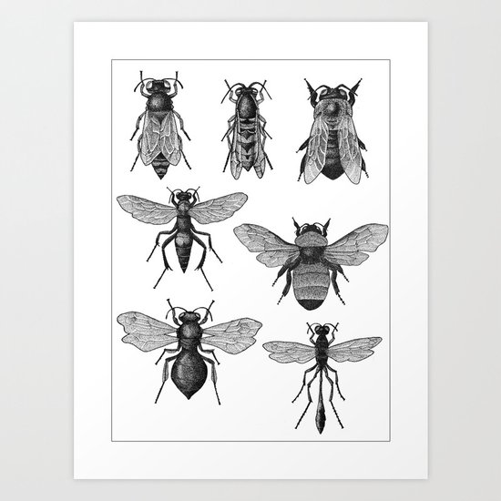 Bees and Wasp Art Print