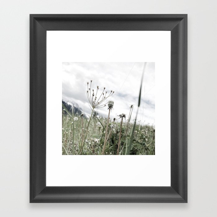 Mountain Wildflowers Framed Art Print