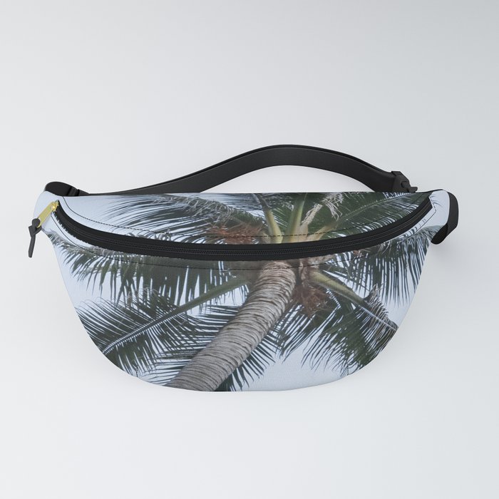 Mexico Photography - A Dry Palm Tree Seen From Below Fanny Pack