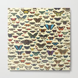 Vintage Dark Butterflies Collection Metal Print