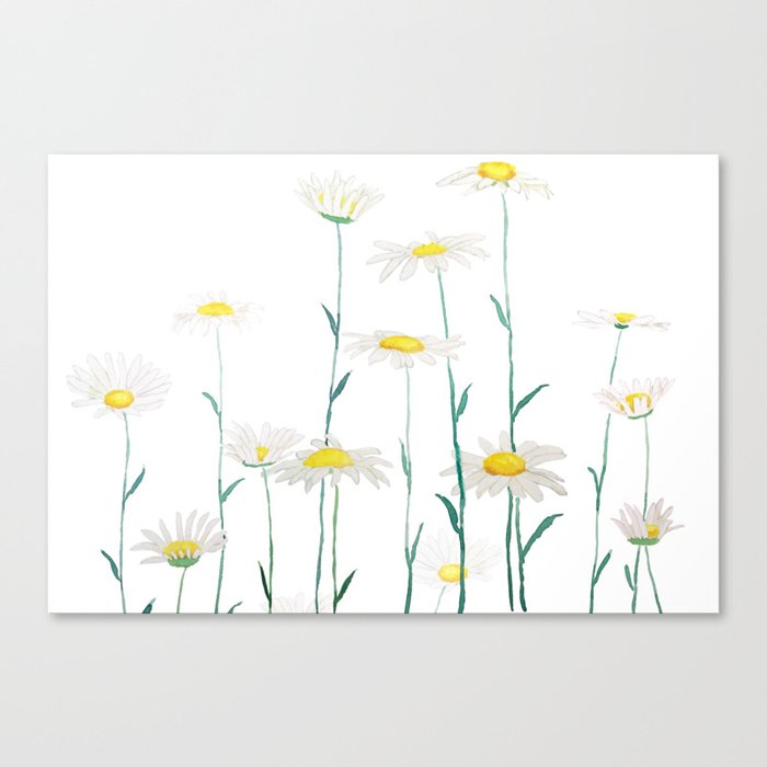 white daisy watercolor horizontal Canvas Print