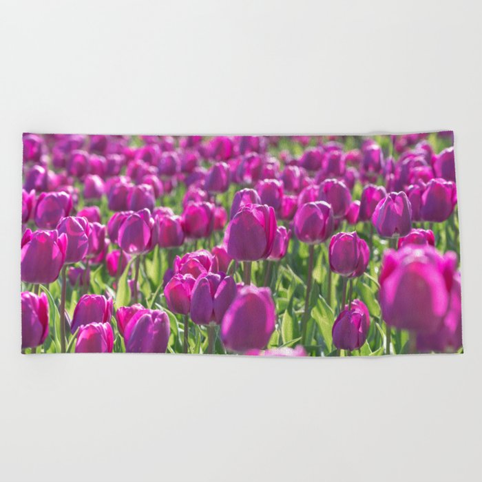 Floral purple Dutch tulips art print - tulip flower field - spring nature and travel photography Beach Towel