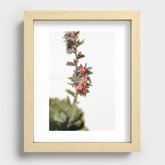 Recessed Framed Print
