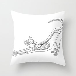 Cat Anatomy Throw Pillow
