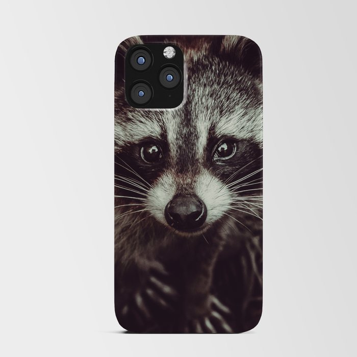 Reclusive Raccoon Photograph iPhone Card Case