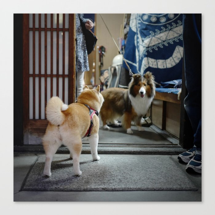 Shiba Inu Dog in Kyoto, Japan Canvas Print