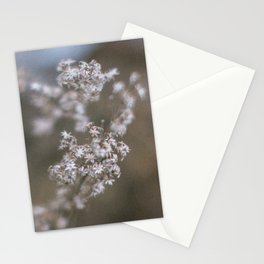 Nature Collection 01 Stationery Cards