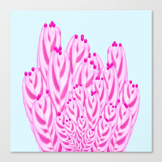 Tropical Dreams Canvas Print