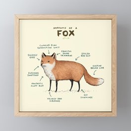Anatomy of a Fox Framed Mini Art Print
