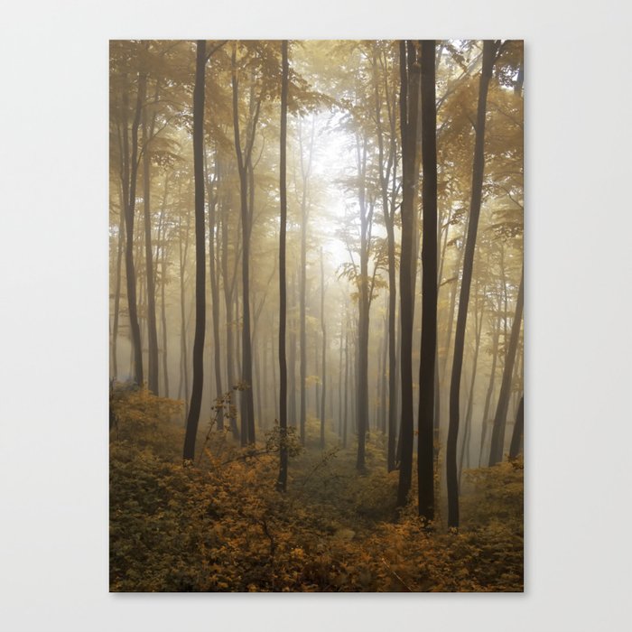 Lost in the forest Canvas Print