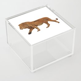 digital painting of a male brown lion Acrylic Box